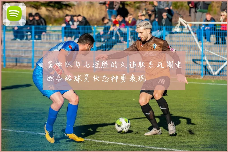 黄蜂队与七连胜的久违联系近期重燃各路球员状态神勇表现