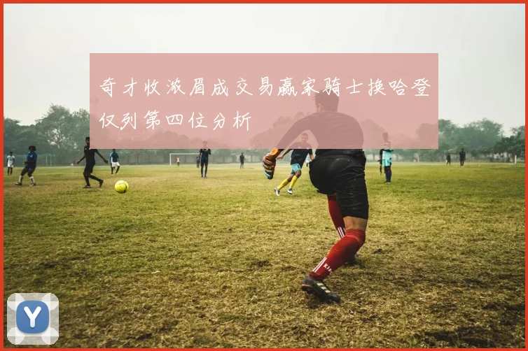奇才收浓眉成交易赢家骑士换哈登仅列第四位分析